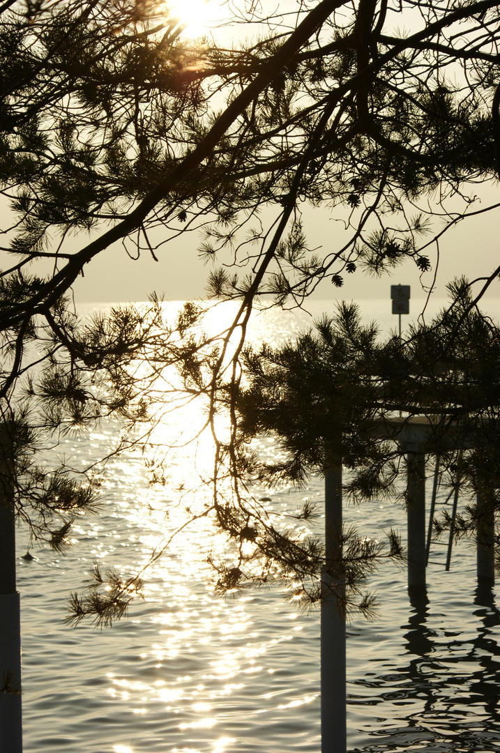 Abendstimmung am Bodensee