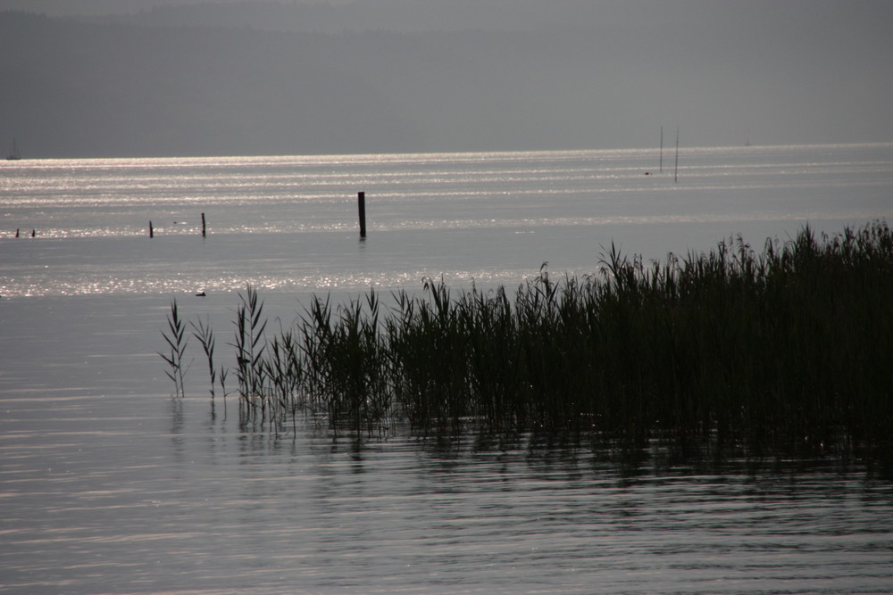 Abendstimmung am Bodensee