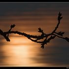 Abendstimmung am Bodensee