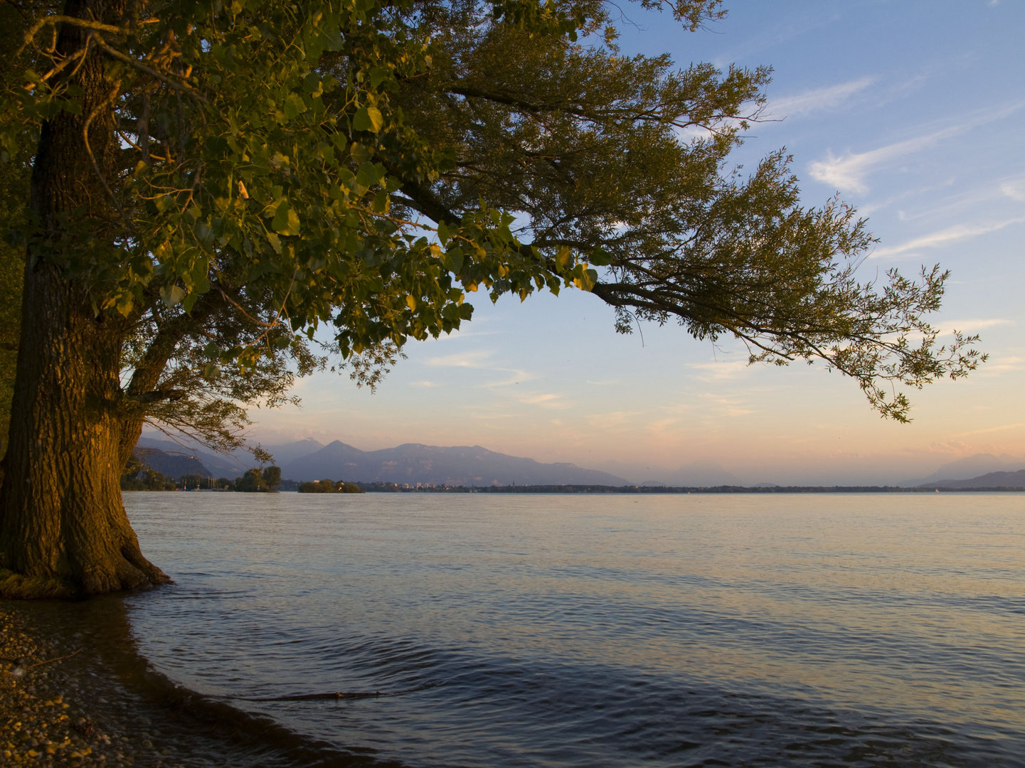 Abendstimmung am Bodensee...