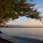 Abendstimmung am Bodensee...