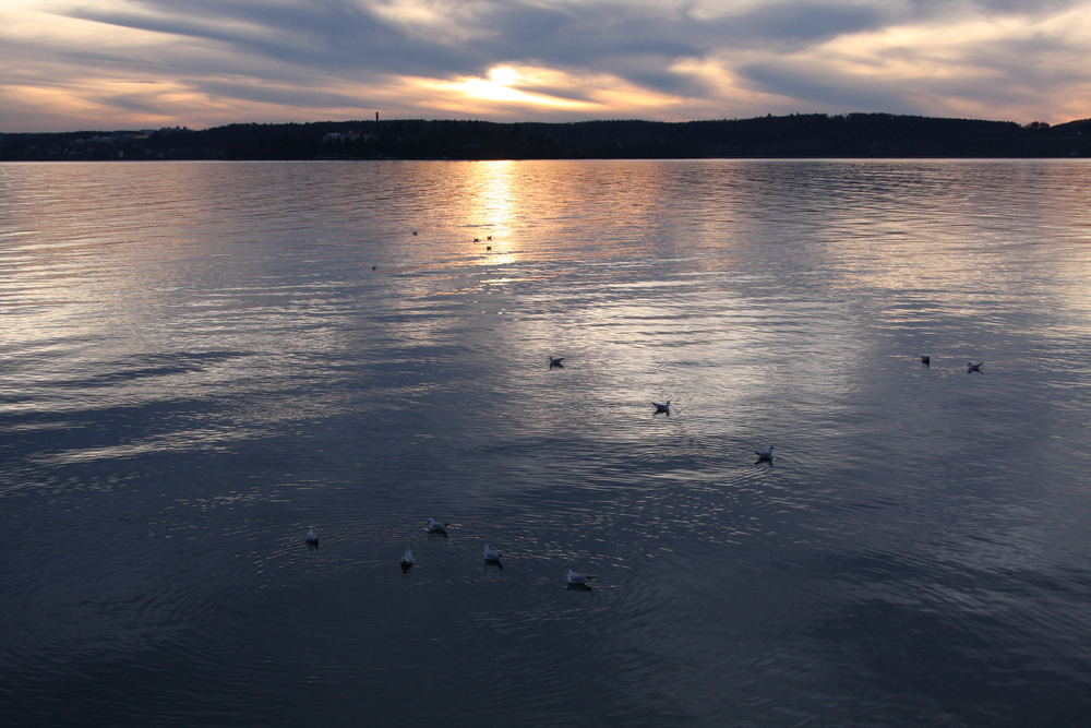 Abendstimmung am Bodensee