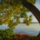 Abendstimmung am Bodensee 