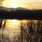 Abendstimmung am Bodensee (Hard, Rheindamm)