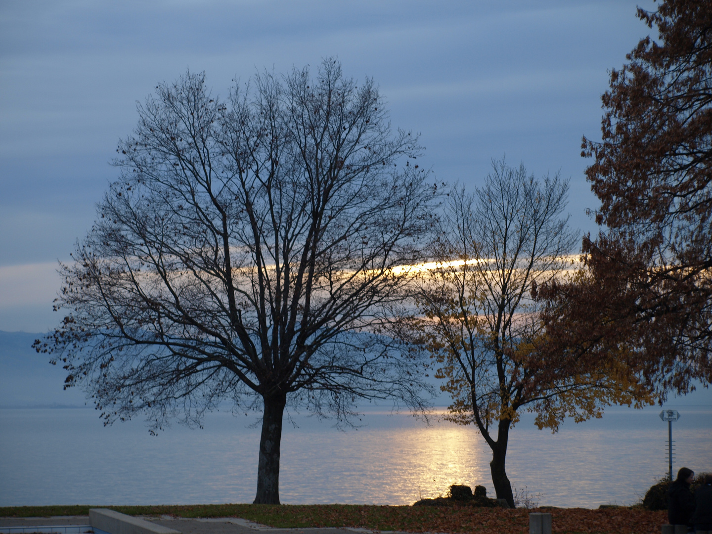 Abendstimmung am Bodensee (Lindau)