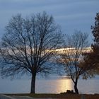 Abendstimmung am Bodensee (Lindau)