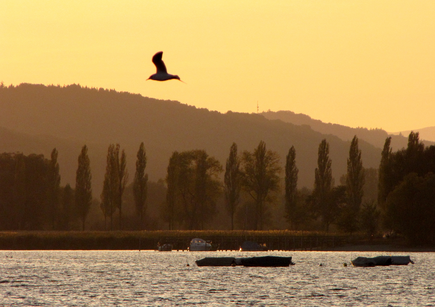 Abendstimmung am Bodensee / Radolfzell