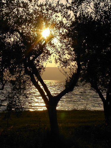 Abendstimmung am Bolsenasee