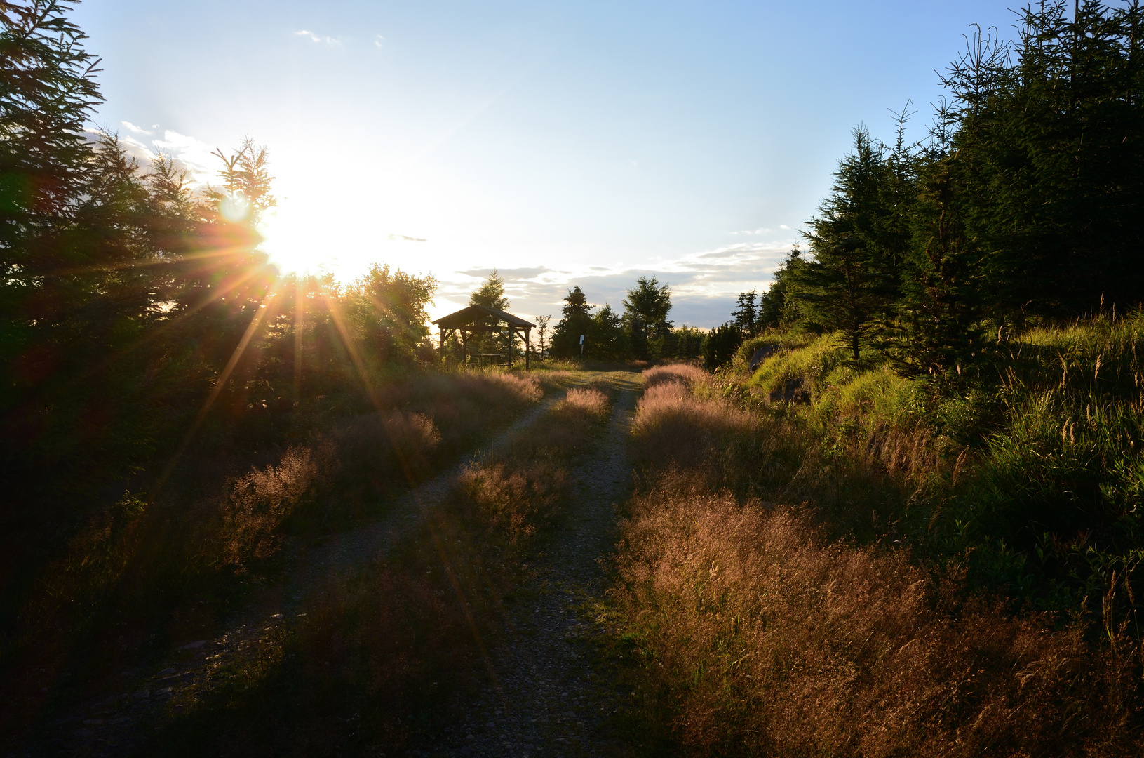 Abendstimmung am Bornhauberg