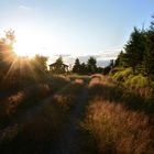 Abendstimmung am Bornhauberg