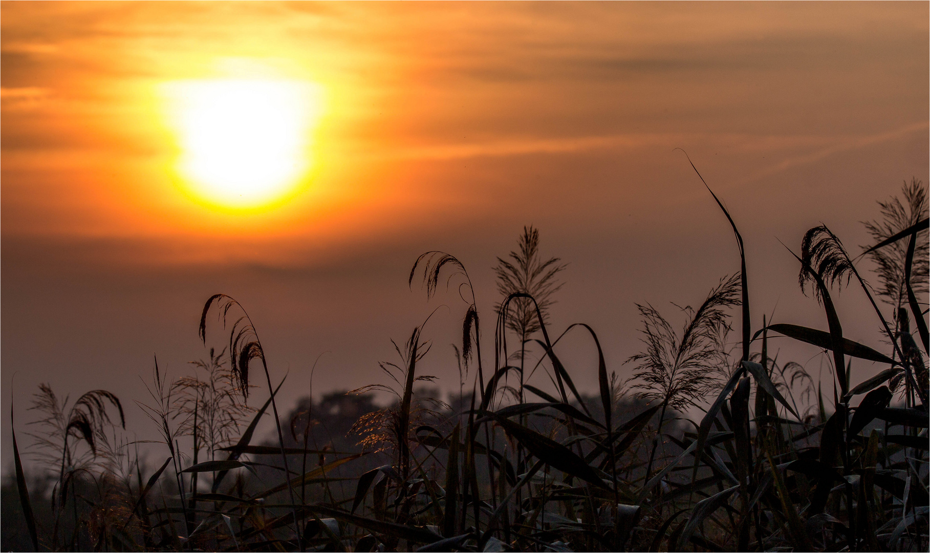 Abendstimmung am Britzer See