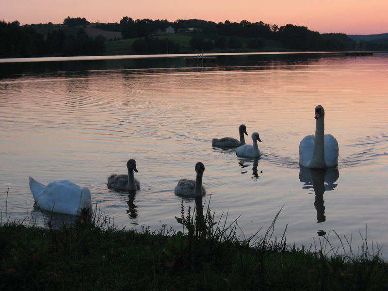 Abendstimmung am Brombachsee