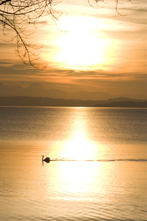 Abendstimmung am Chiemsee