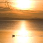 Abendstimmung am Chiemsee