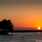 Abendstimmung am Chobe