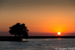 Abendstimmung am Chobe