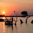 Abendstimmung am Chobe.