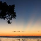 Abendstimmung am Chobe