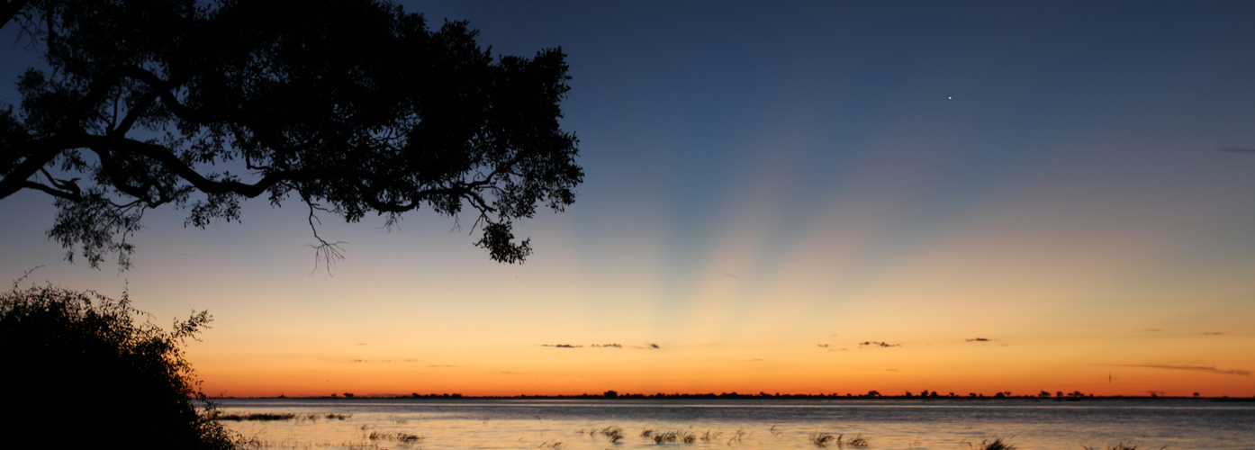 Abendstimmung am Chobe