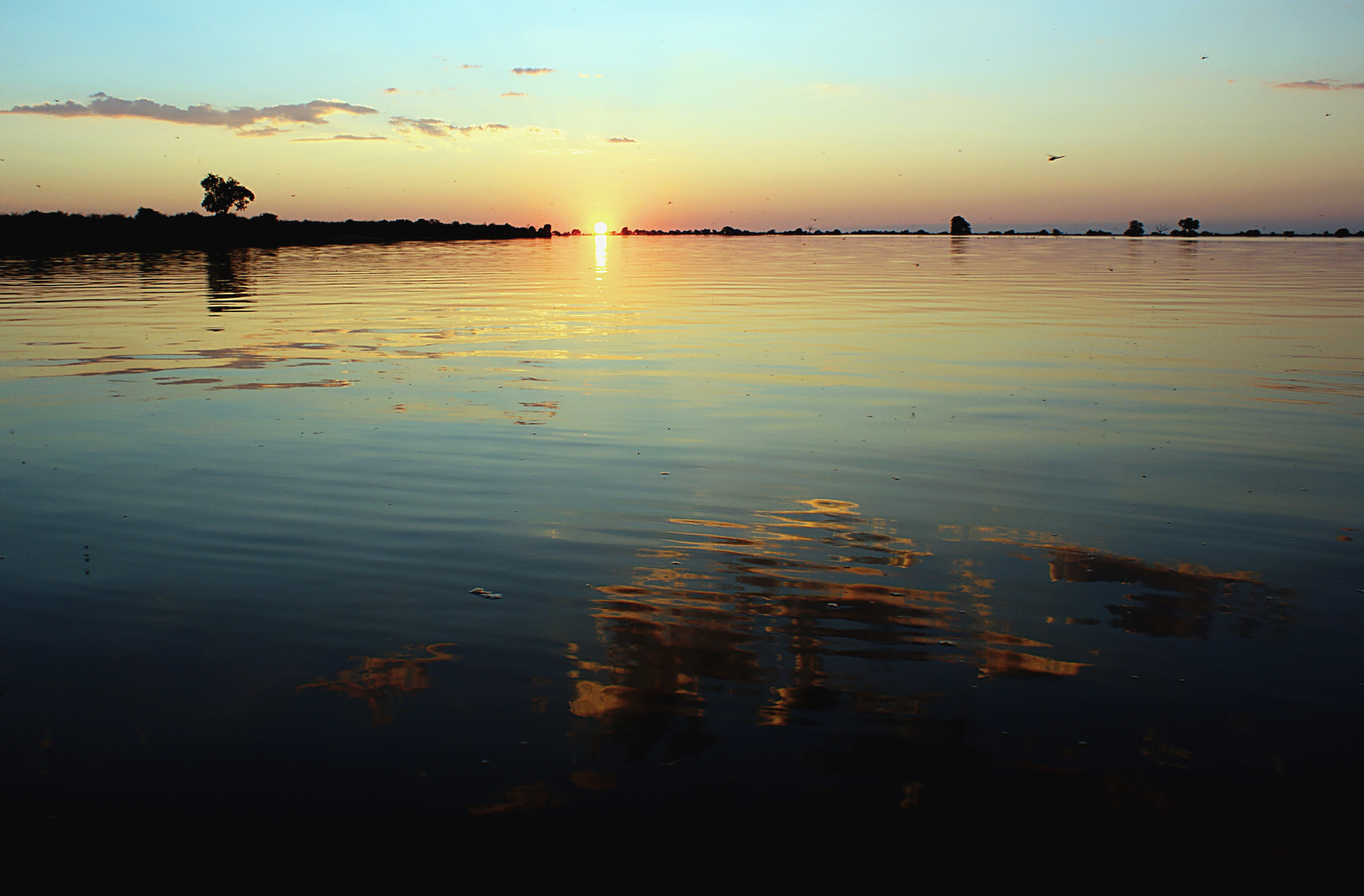 Abendstimmung am Chobe