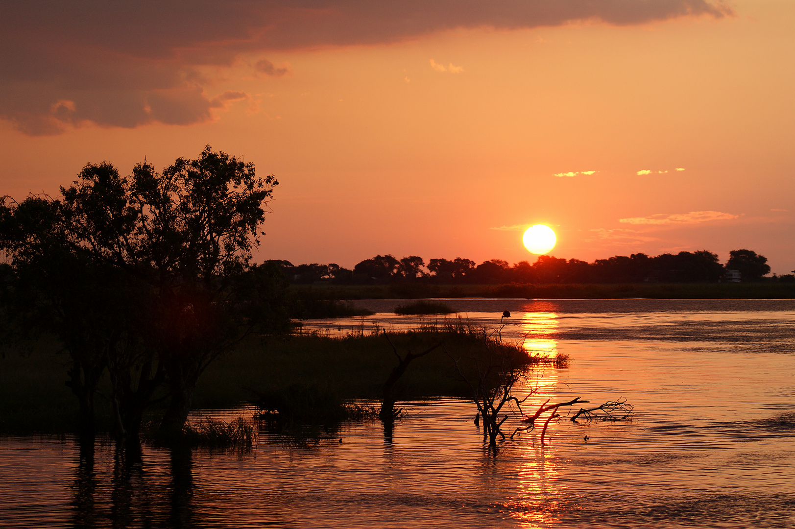 Abendstimmung am Chobe