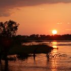 Abendstimmung am Chobe