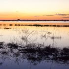 Abendstimmung am Chobe River