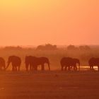 Abendstimmung am Chobe River in Botswana