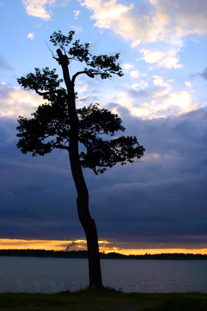 Abendstimmung am Cospudener See