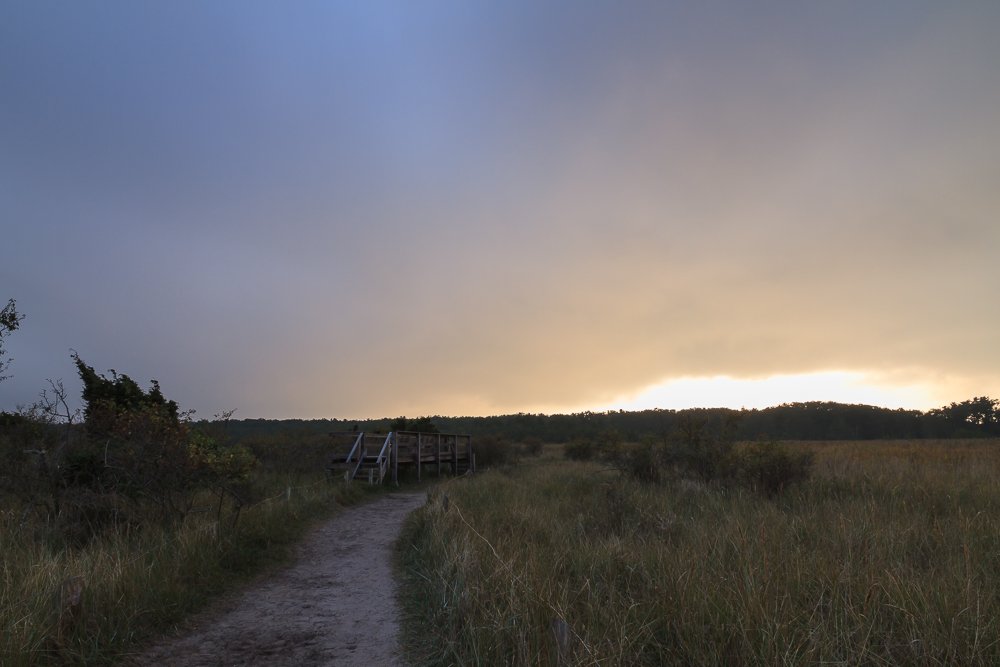 Abendstimmung am Darßer Ort