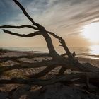 Abendstimmung am Darßer Weststrand