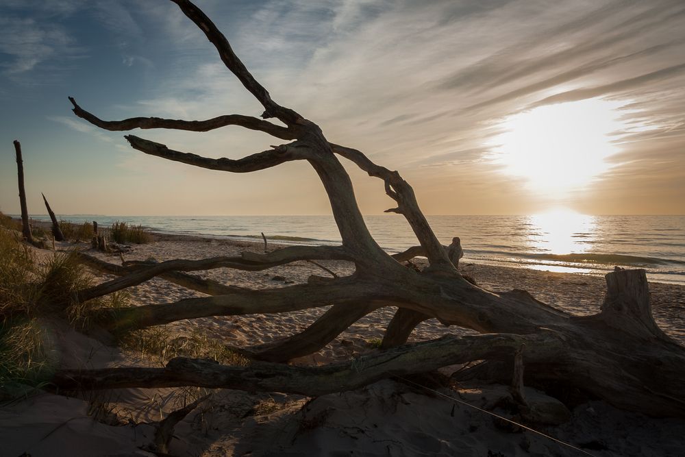 Abendstimmung am Darßer Weststrand