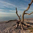 Abendstimmung am Darßer Weststrand II