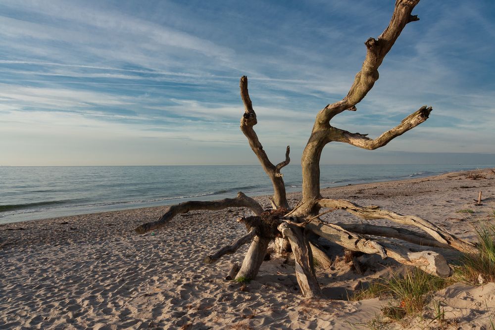 Abendstimmung am Darßer Weststrand II