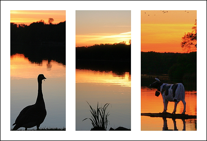 Abendstimmung am Dieksee