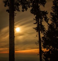 Abendstimmung am Dreisesselberg 2