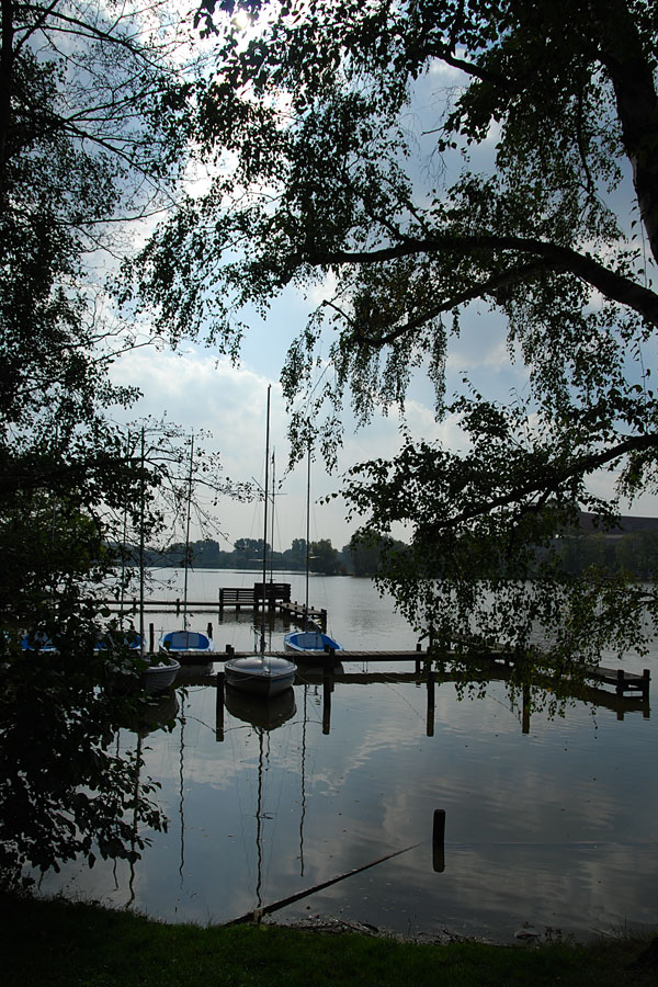 Abendstimmung am Dutzendteich 1