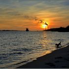 Abendstimmung am Elbstrand