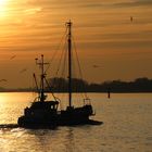 Abendstimmung am Elbufer in Blankenese