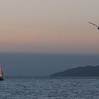 Abendstimmung am English Bay, Vancouver, BC, Canada (Pacific)