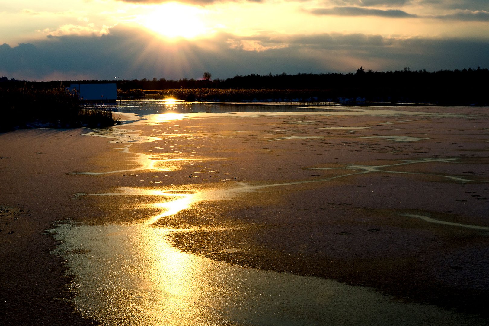 Abendstimmung am Federsee