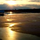 Abendstimmung am Federsee