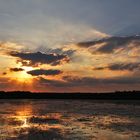 Abendstimmung am Federsee