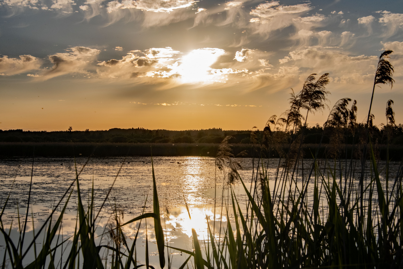 Abendstimmung am Federsee