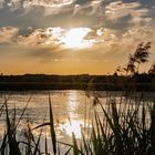 Abendstimmung am Federsee