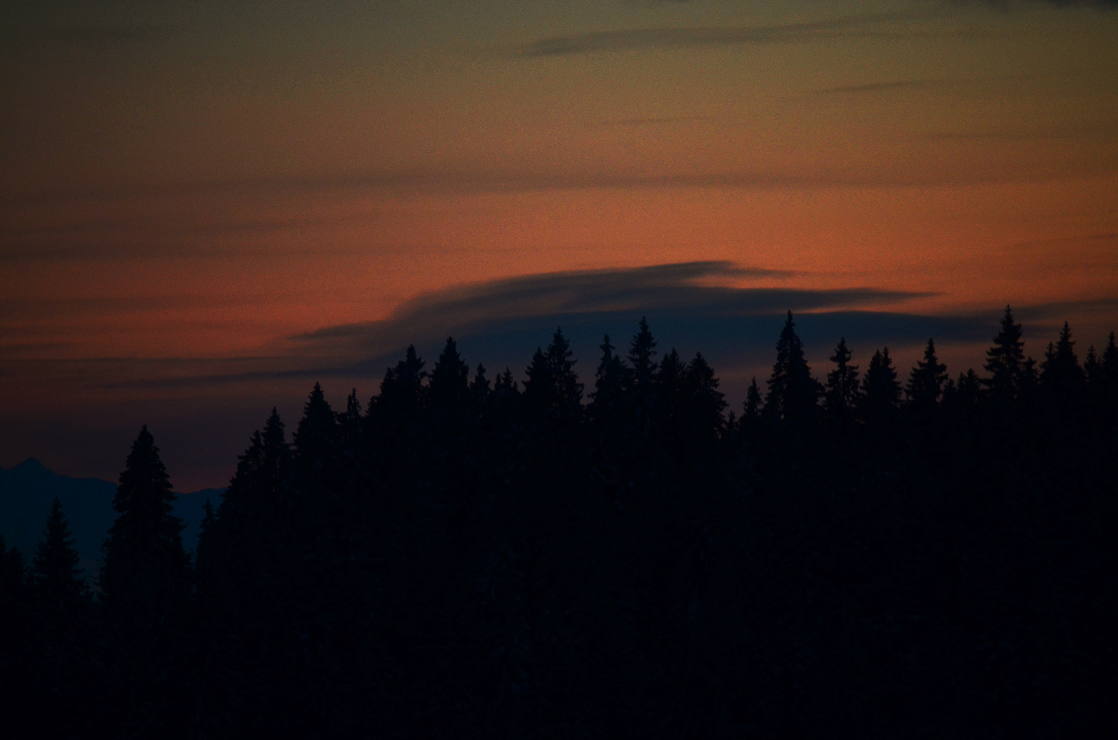 Abendstimmung am Feldberg