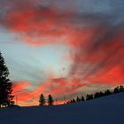 Abendstimmung am Feldberg