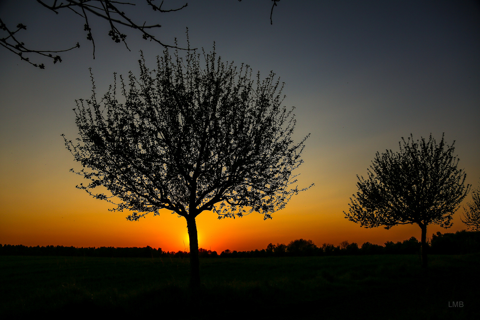 Abendstimmung am Feldesrand