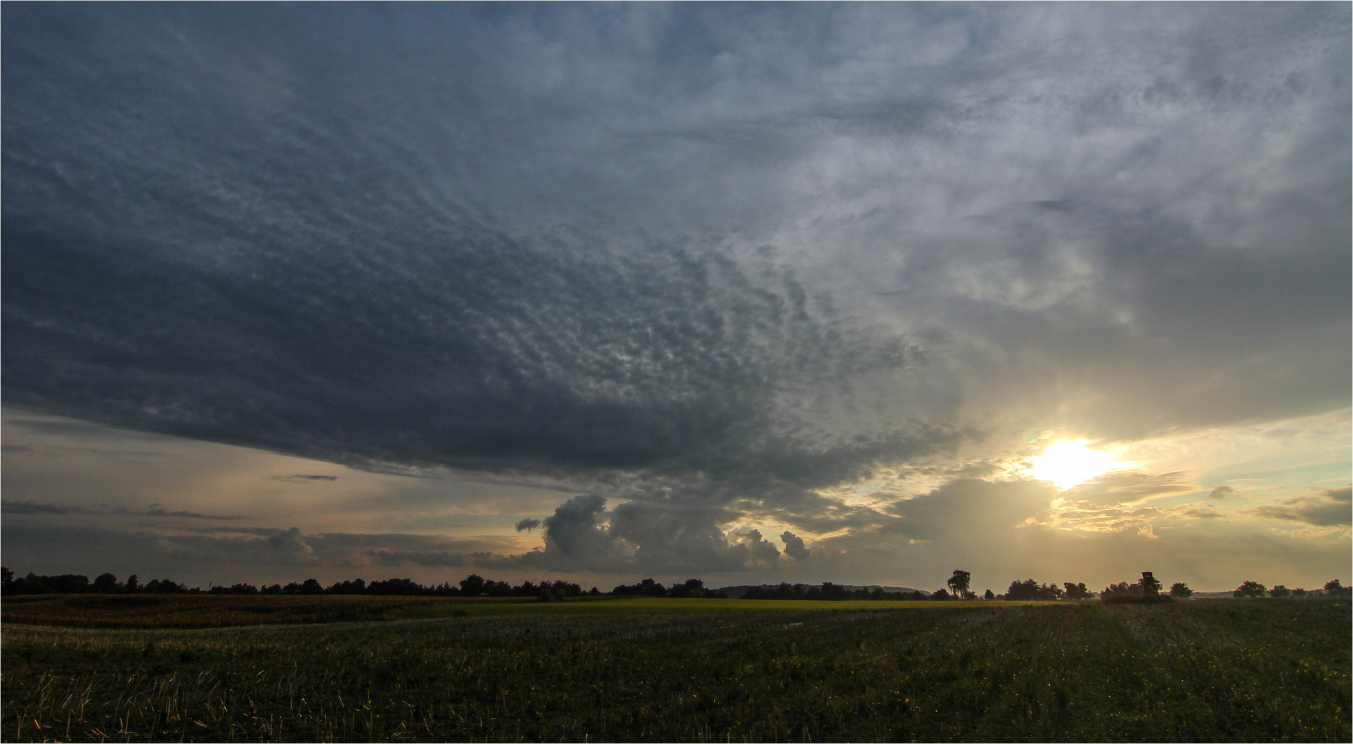 Abendstimmung am Feldrand