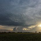 Abendstimmung am Feldrand